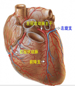 306医院：冠状动脉“搭桥”术的护理