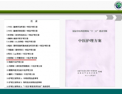 中医护理方案质量管理模式及评价体系的建立
