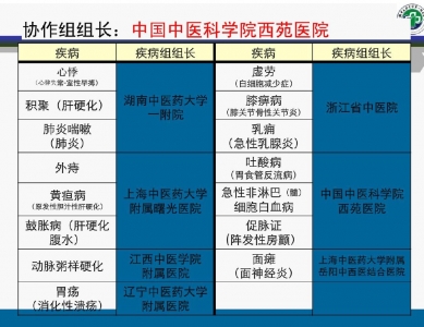 中医护理方案质量管理模式及评价体系的建立