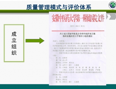 中医护理方案质量管理模式及评价体系的建立