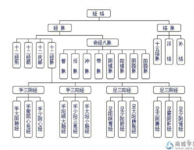 简易辩穴法及其在中医护理操作中的应用