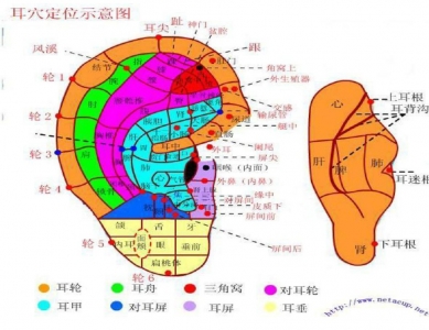 简易辩穴法及其在中医护理操作中的应用