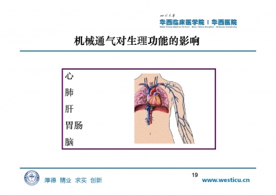 机械通气及护理