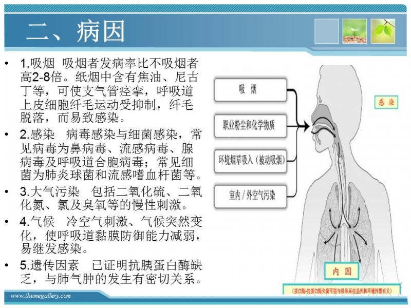 幻灯片4.JPG