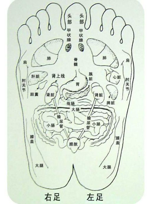 qiOf3B6Cycb11bOj.jpg