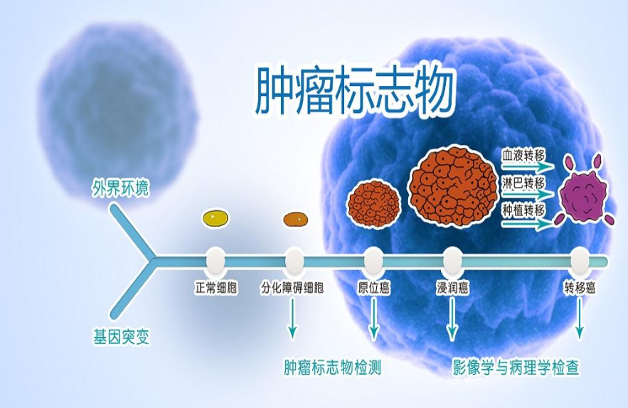 微信截图_20190918160233.png