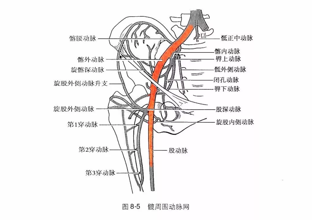 微信图片_20191118172730.png