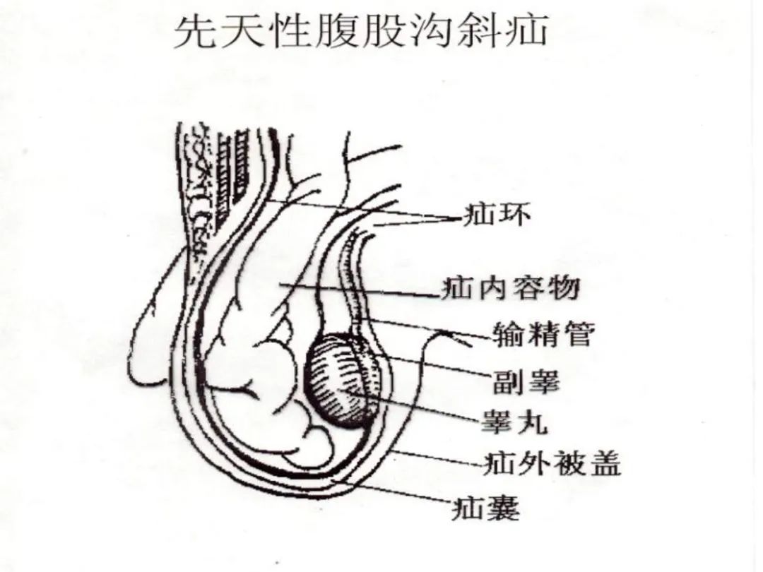 k6v60601Dm1nTnM4.jpg