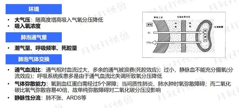 g77qC2O07UB7Jycw.jpg