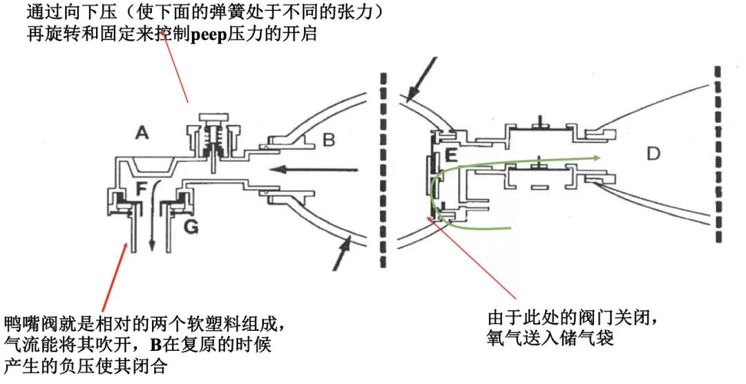 iiF4RH94zmh4miXy.jpg