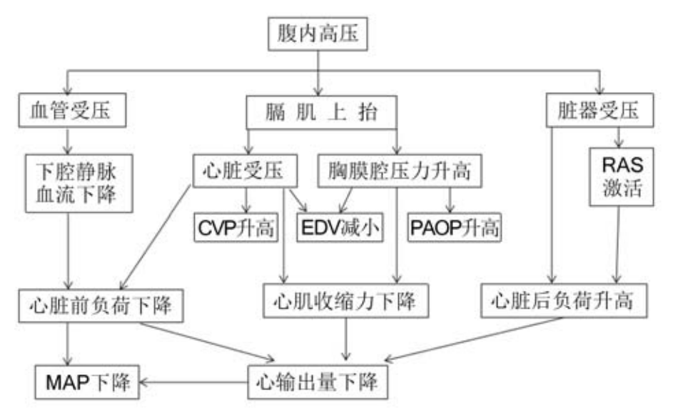 BtU8ff2p2039Bu2F.jpg